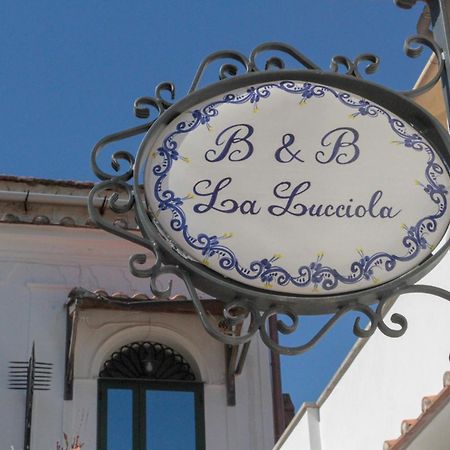 La Lucciola Apartamento Amalfi Exterior foto